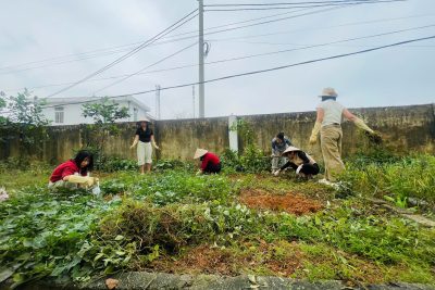 🌱TRƯỜNG MẦM NON THANH SƠN 3 HƯỞNG ỨNG TẾT TRỒNG CÂY 2026  🌱 GIEO MẦM XANH, ƯƠM MẦM YÊU THƯƠNG 🌱