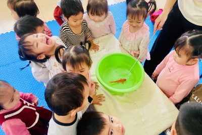 🌺🌺TRƯỜNG MẦM NON THƯỢNG HOÀ TỔ CHỨC SINH HOẠT CHUYÊN MÔN THEO NGHIÊN CỨU BÀI HỌC  TUẦN 4/12  🌺🌺